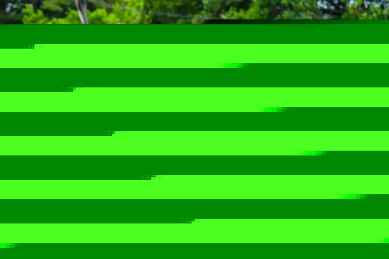 微信图片_20250422195310