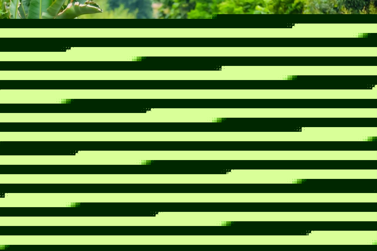 微信图片_20250422195337